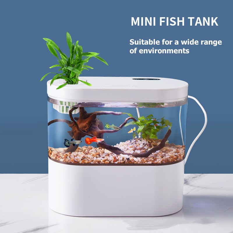 Mini aquarium de bureau créati - Aquarium Fish Betta avis et prix