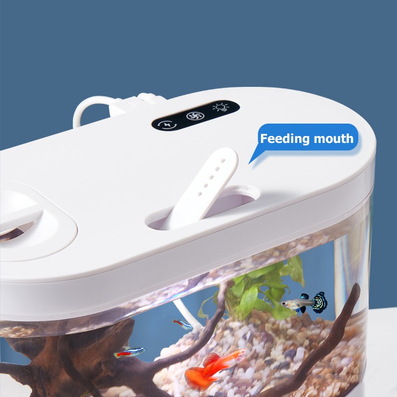 Mini aquarium de bureau créati - Aquarium Fish Betta avis et prix