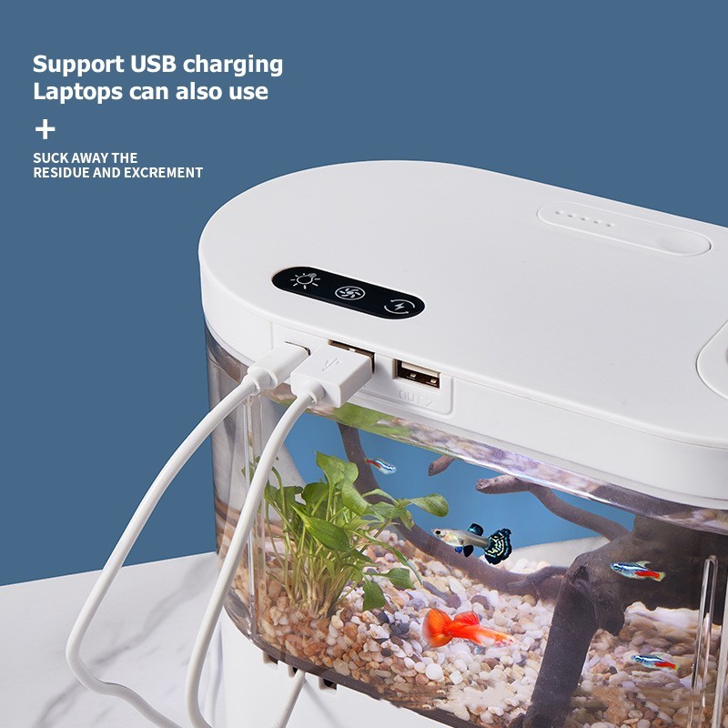 Mini aquarium de bureau créati - Aquarium Fish Betta avis et prix