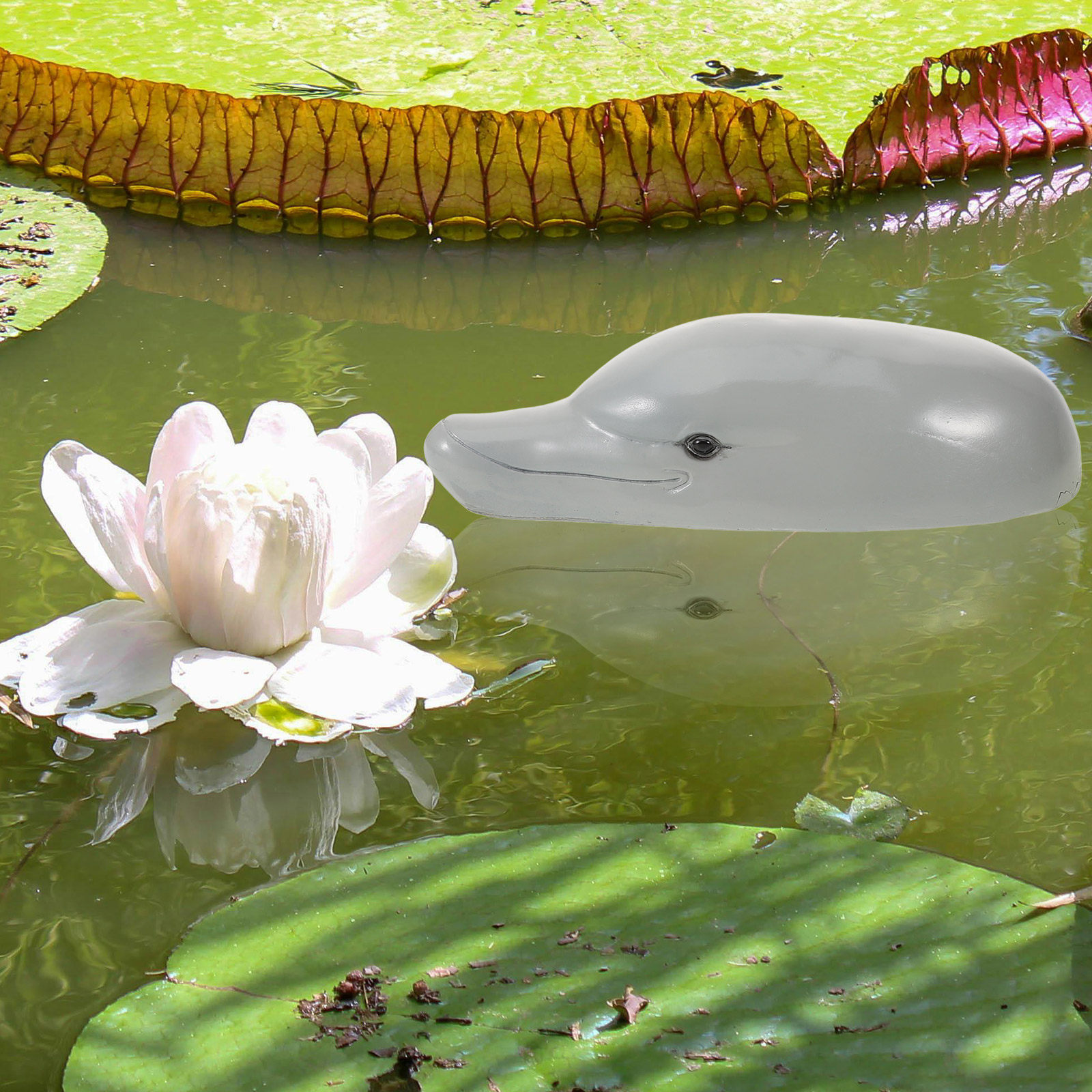 Ornement de tête de dauphin en - Aquarium Decor avis et prix