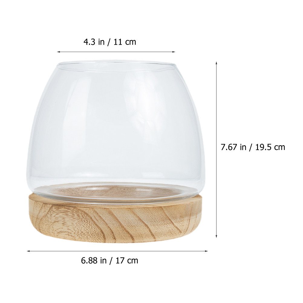 1 ensemble de terrarium hydrop - Aquarium Fish Betta avis et prix