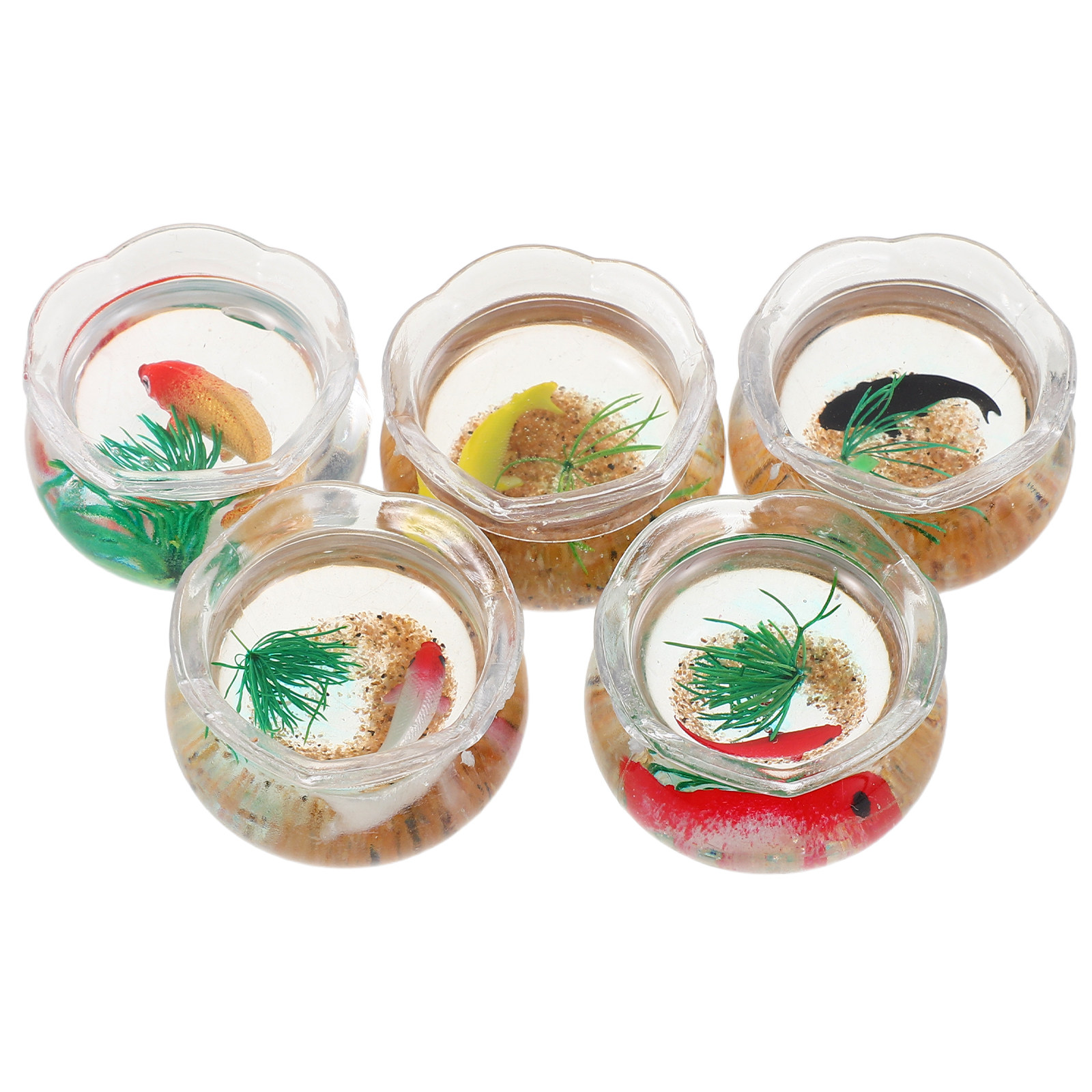 5 pièces, mini-bassin à poisso - Aquarium Plants avis et prix